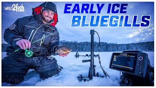 Ice Fishing Bluegills  Where to Find and How to Catch [upl. by Dew639]