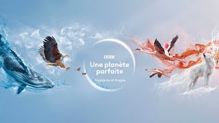 France 2  Une planète parfaite [upl. by Ahsiened]