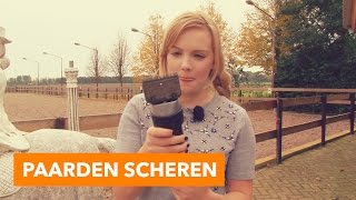 Paarden scheren  PaardenpraatTV [upl. by Nailluj]