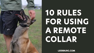 Ed Frawleys 10 Rules for Using A Remote Collar [upl. by Siramad]