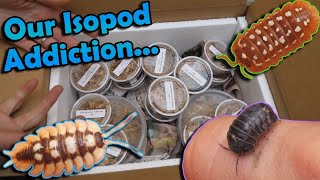 Unboxing 1000 Worth of Isopods [upl. by Hartley]