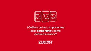 Componentes de la yerba mate  Yerba Mate Taragüi [upl. by Philander]