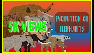 Evolution Of Elephant  Amebelodon  Animation  Eliphas Antiquus  History Of Elephants  Mastodon [upl. by Spenser]