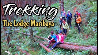 WISATA ALAM TREKKING TRACK  THE LODGE MARIBAYA LEMBANG [upl. by Akel407]