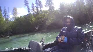 Kenai River Silver fishing [upl. by Engedus]