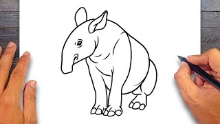 How to draw Tapir  Mammals Drawing [upl. by Ostraw]