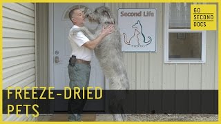 FreezeDried Pets  Second Life Freeze Dry  60 Second Docs [upl. by Borgeson]