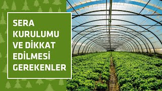 Sera Kurulumu ve Dikkat Edilmesi Gerekenler [upl. by Herwig]