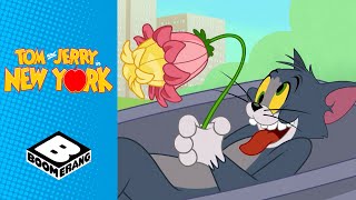 When Jerry Ruined Toms Romantic Date  Tom amp Jerry in New York  Boomerang UK [upl. by Dragoon535]