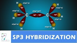 Sp3 HYBRIDIZATION PART 02 [upl. by Enamart]