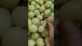 ఉసిరిgooseberryytshortsviral [upl. by Jo Ann]