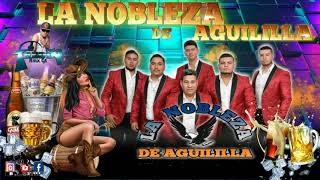 La Nobleza de Aguililla Mix 2020  Dj Freddy rmx Gt  Tierra Caliente👍🍺 [upl. by Hoes145]