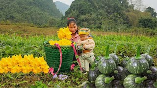 Single Mom  Build a Wall to Protect the Farm Deliver Baby to Police amp Harvest Pumpkins for sale [upl. by Selohcin]