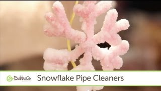 How to Make a Borax Snowflake  Lets Craft with Modernmom [upl. by Anaiv758]