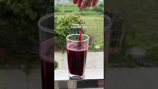 MONSTER PreWorkout Drink at Home [upl. by Moitoso619]