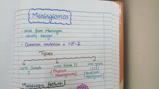 Meningioma Pathology [upl. by Sydalg]