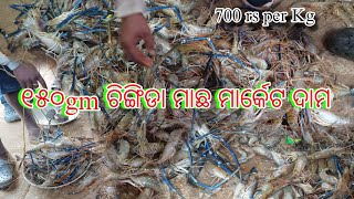 ୧୫୦ gm ଚିଙ୍ଗଡା ମାଛ ମାର୍କେଟ ଦାମ  big prawn price in local market  Shrimp price in market [upl. by Atinrev]