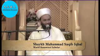 Pir Saqib Shami  Mere Nabi Ki Shan  Beautiful Bayan [upl. by Merrie]