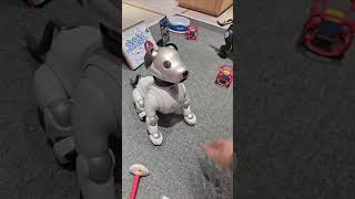 Meet Aibo AI Robot Dog from Sony [upl. by Auqenes827]