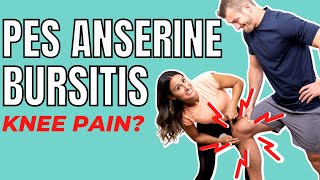 Pes Anserine Bursitis  Causes amp Treatments [upl. by Kirt]