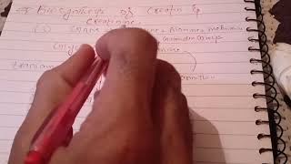 Synthesis of Creatine and Creatinine [upl. by Hardwick]