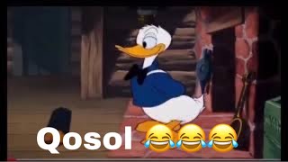 FILM AFSOMALI CARTOON DUCK QOSOL MAA WEELIDA CARUURTA [upl. by Biddy]