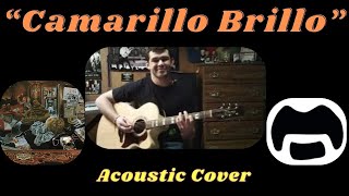 quotCamarillo Brilloquot acoustic  Frank Zappa cover [upl. by Dduj153]