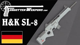 HampK SL8 The Civilian G36 [upl. by Oiratnom]