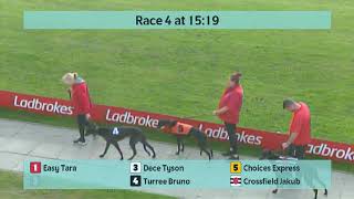 Crayford Greyhounds Races on 18th October 2024 [upl. by Ludba]