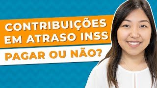 Contribuições em Atraso no INSS  Como Fazer [upl. by Castra732]