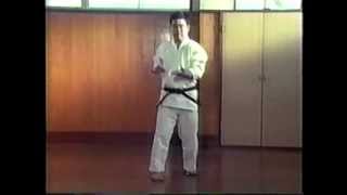 Okinawan GojuRyu Karatedo Katas Higaonna Sensei [upl. by Sral104]