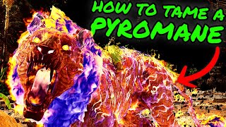 PYROMANE Easy Taming Guide How to Tame a Pyromane on The Center in Ark Survival Ascended [upl. by Rabaj799]