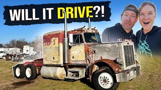 Will it DRIVE Our 1984 359 Peterbilt REVIVAL [upl. by Anippesuig]