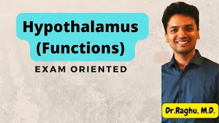 Functions of Hypothalamus  CNS Physiology  mbbsexams physiology [upl. by Paige]