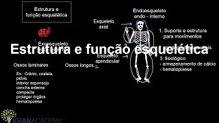 Estrutura e função esquelética  Introdução ao sistema esquelético  Khan Academy [upl. by Rolland]