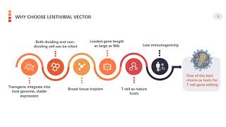 Viral Based Gene Delivery System for CAR T Cell Engineering Original Version [upl. by Lindsey947]