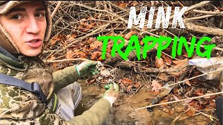 3 Simple Mink Sets  Mink Trapping Simple and Easy [upl. by Neelahs]