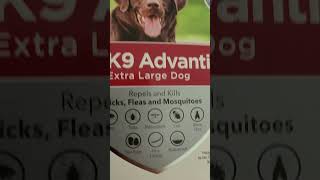 Its Flea and Tick Season — Be Prepared with K9 Advantix® II [upl. by Laeira]