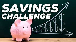 Biweekly Money Saving Challenge 2024  Tips and Tricks [upl. by Diandra166]