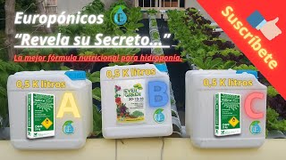 Secreto Revelado 🎩🧙 Fórmula Nutricional de Europónicos 🫕 para hortalizas de hojas 🍀🥬en Hidroponía [upl. by Kan]