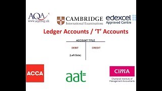 Double Entry Ledger T Accounts [upl. by Koerlin]