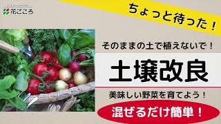 【野菜栽培に◎】土壌改良基本のやり方【リサイクル】 [upl. by Elokin]