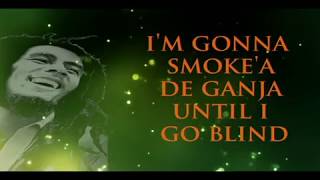 bob marley  ganja gun lyrics [upl. by Onitnatsnoc]