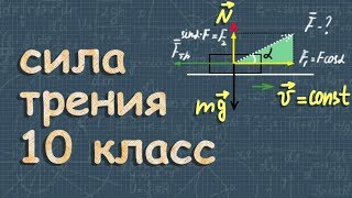 СИЛА ТРЕНИЯ  коэффициент трения  ДИНАМИКА [upl. by Suicul]