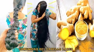 BENEFICIOS Y PROPIEDADES DEL JENGIBRE ¡¡4 IDEAS PARA EL CABELLO [upl. by Neelon]