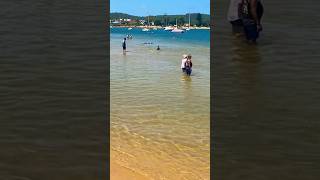 Travel Ettalong Beach Waterfront Reserve NSW 2257 [upl. by Ylaek]