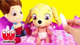 PAW Patrol Best of Mashup  Pup Tales Toy Episodes and More  PAW Patrol Official amp Friends [upl. by Jamal332]