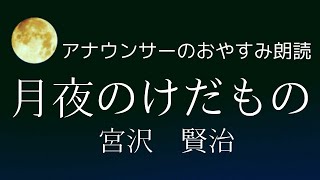 【睡眠導入】眠れるアナウンサー朗読～宮沢賢治「月夜のけだもの」読み聞かせ【元NHK フリーアナウンサー島 永吏子】 [upl. by Atteuqnas]