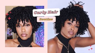 2021 DEFINED CURLY HAIR ROUTINE 3C4A CURLS [upl. by Nosnar]