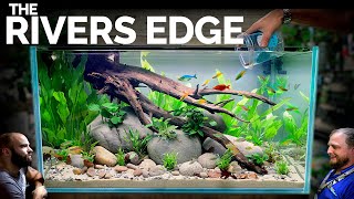 Rainbow Rivers Edge EPIC 3ft Aquarium Natural Style Aquascape Tutorial [upl. by Norat]